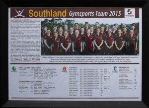 2015-Southland-Gymsports-team